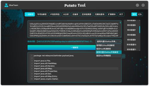 一鍵解密 網絡安全神器如何守護數字時代的信息安全